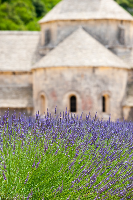 Abbey de Sénanque