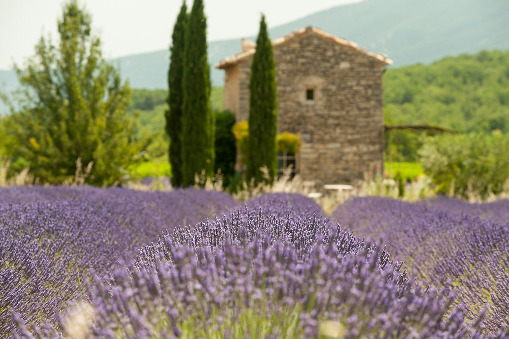 Saignon