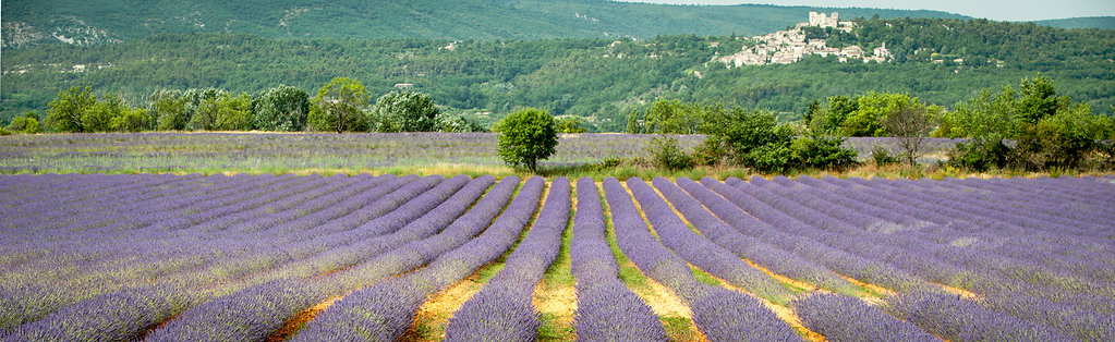 Bonnieux