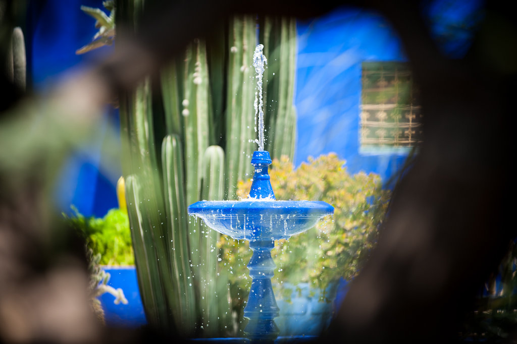 Marrakesch, Jardin Majorelle