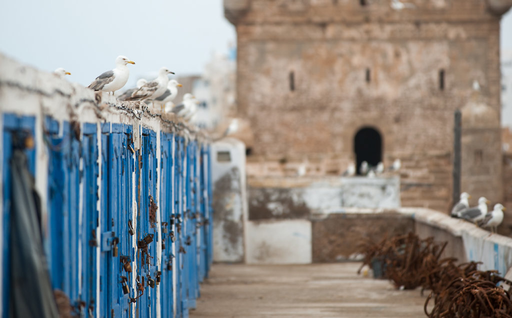 Essaouira