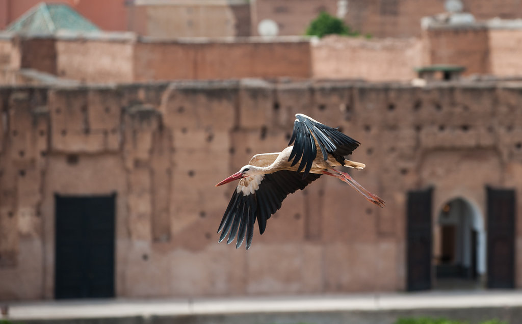 Marrakesch, Palais El-Badi