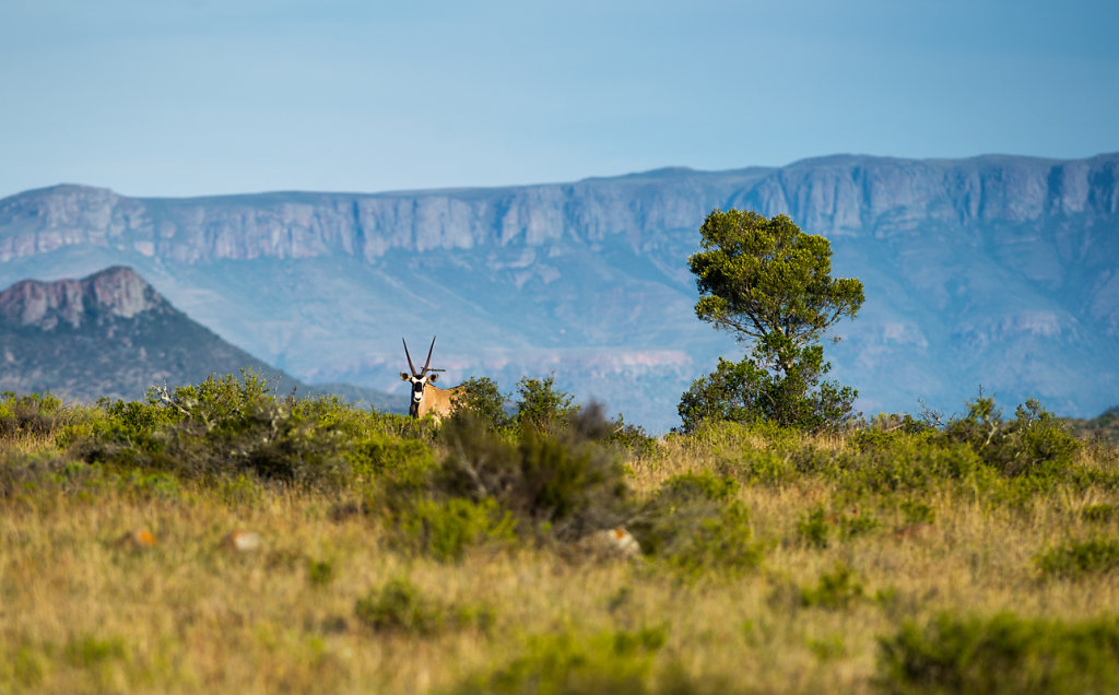 Samara Private Game Reserve